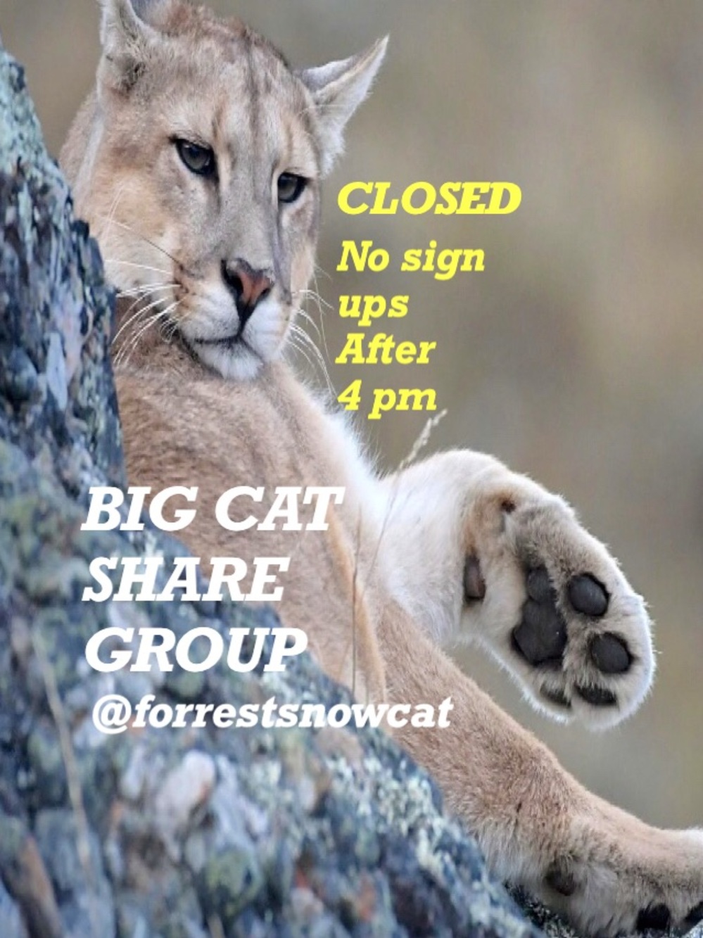 BIG CAT SHARE GROUP  MONDAY 8/10   CLOSED